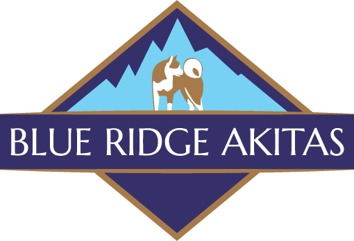 Blue Ridge Akitas